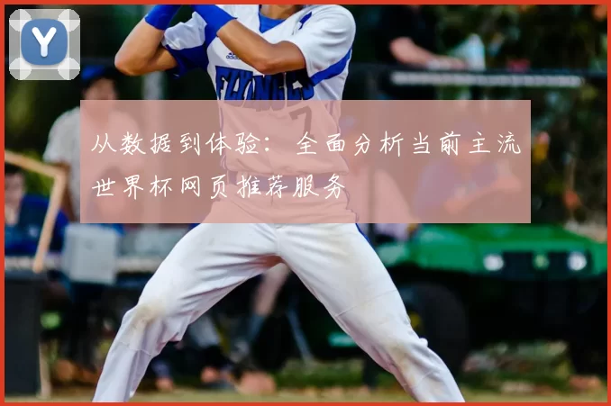 从数据到体验:全面分析当前主流世界杯网页推荐服务