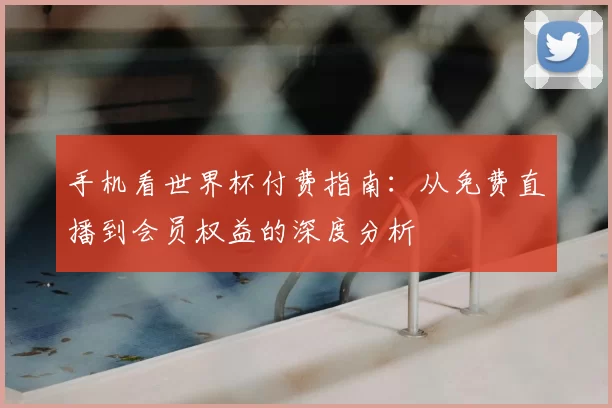 手机看世界杯付费指南:从免费直播到会员权益的深度分析