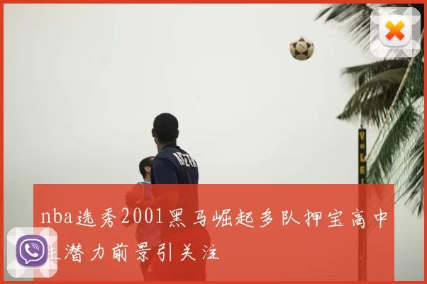 nba选秀2001黑马崛起多队押宝高中生潜力前景引关注