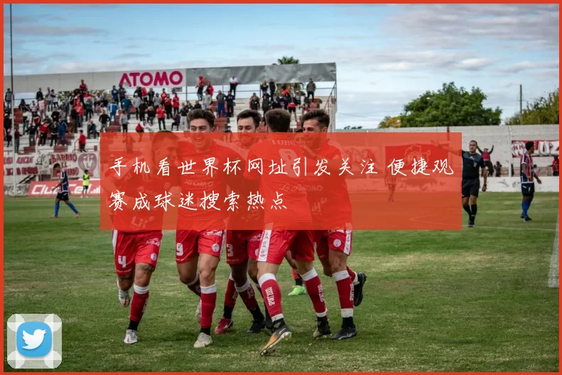 手机看世界杯网址引发关注 便捷观赛成球迷搜索热点
