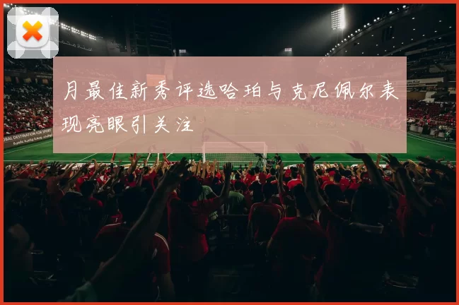 月最佳新秀评选哈珀与克尼佩尔表现亮眼引关注