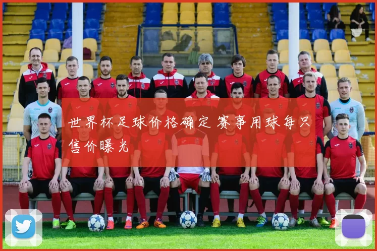 世界杯足球价格确定 赛事用球每只售价曝光