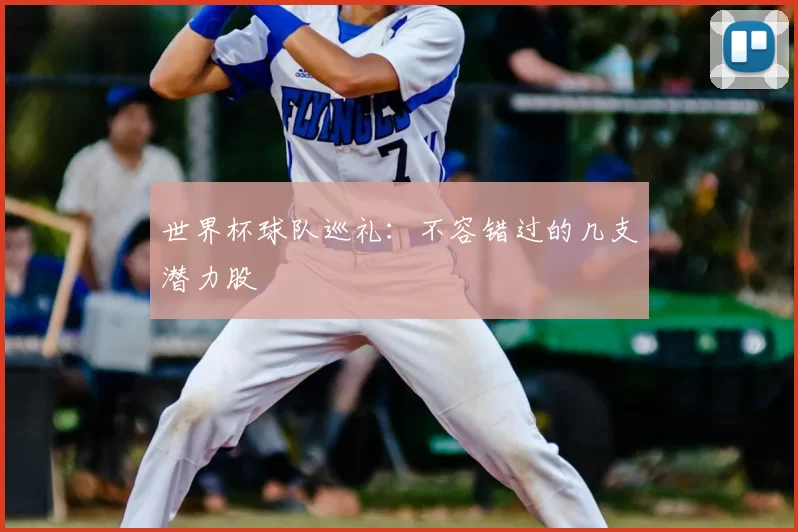 世界杯球队巡礼:不容错过的几支潜力股