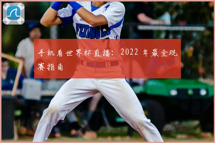 手机看世界杯直播：2022 年最全观赛指南