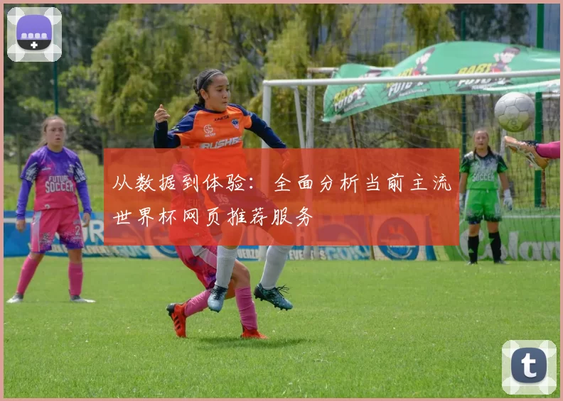 从数据到体验:全面分析当前主流世界杯网页推荐服务