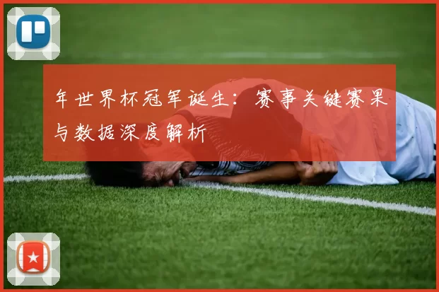 年世界杯冠军诞生:赛事关键赛果与数据深度解析