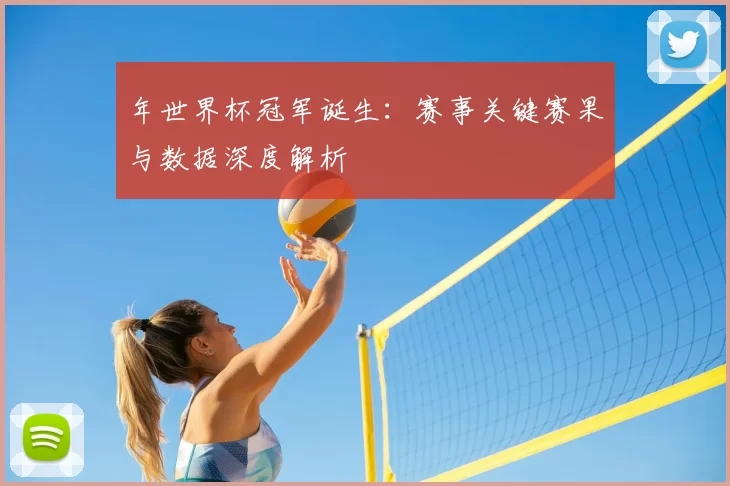 年世界杯冠军诞生:赛事关键赛果与数据深度解析