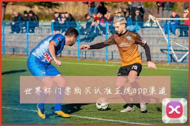 世界杯门票购买认准正规app渠道
