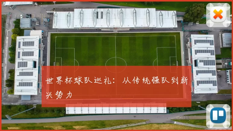 世界杯球队巡礼:从传统强队到新兴势力