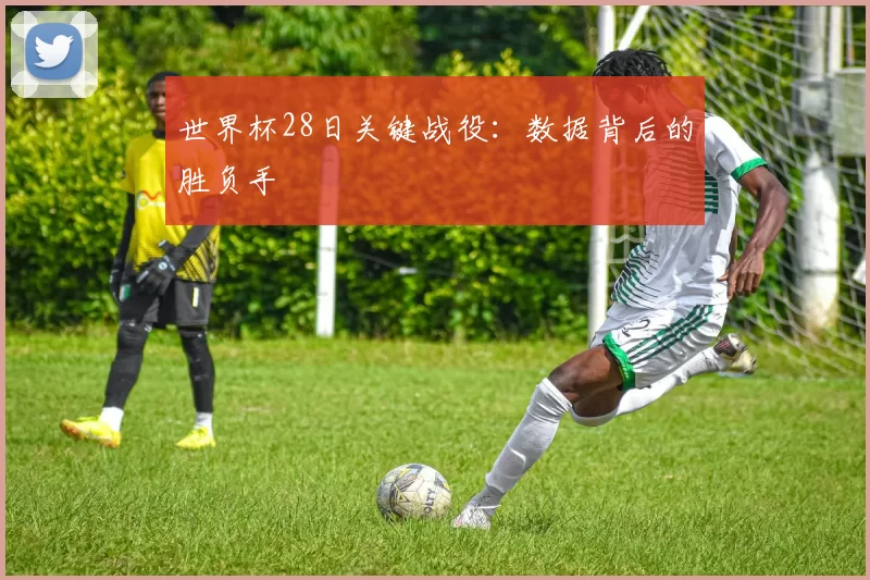 世界杯28日关键战役：数据背后的胜负手