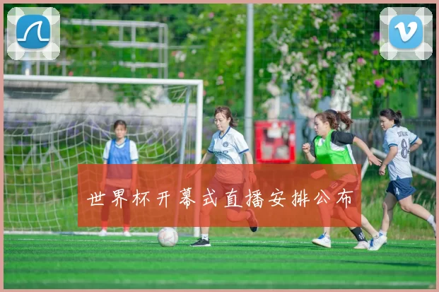 世界杯开幕式直播安排公布