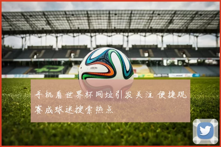 手机看世界杯网址引发关注 便捷观赛成球迷搜索热点