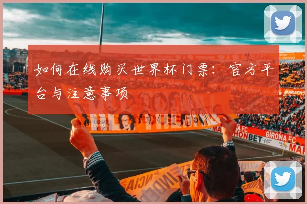 如何在线购买世界杯门票:官方平台与注意事项