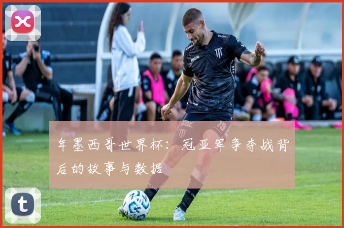 年墨西哥世界杯：冠亚军争夺战背后的故事与数据