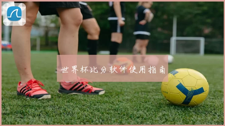世界杯比分软件使用指南