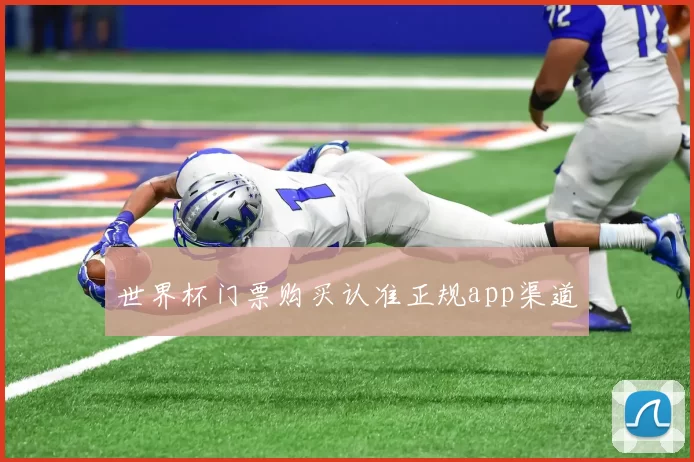 世界杯门票购买认准正规app渠道